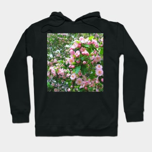 Spring Blossoms-Art Prints-Mugs,Cases,Duvets,T Shirts,Stickers,etc Hoodie